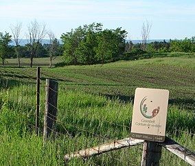 Greenbelt (Ottawa) httpsuploadwikimediaorgwikipediacommonsthu