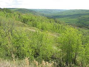 Greene Valley Provincial Park httpsuploadwikimediaorgwikipediacommonsthu