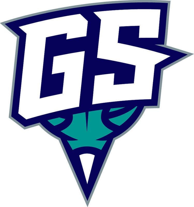 Greensboro Swarm Name logos revealed for Charlotte Hornets DLeague team in