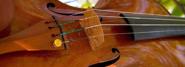 Gregg Alf Concert Violins in the Italian Tradition by Gregg T Alf Alf Studios