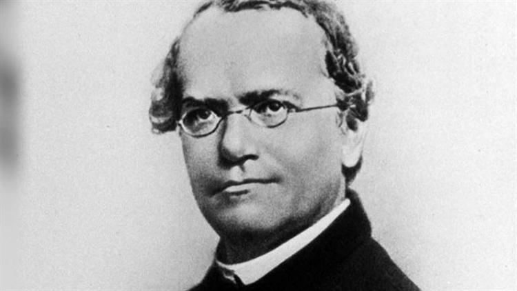 Gregor Mendel Gregor Mendel Botanist Scientist Biographycom