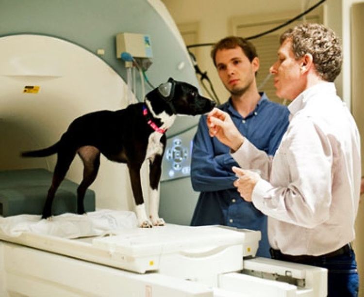 Gregory Berns Neuroscientist Gregory Berns Reveals What Dogs Are