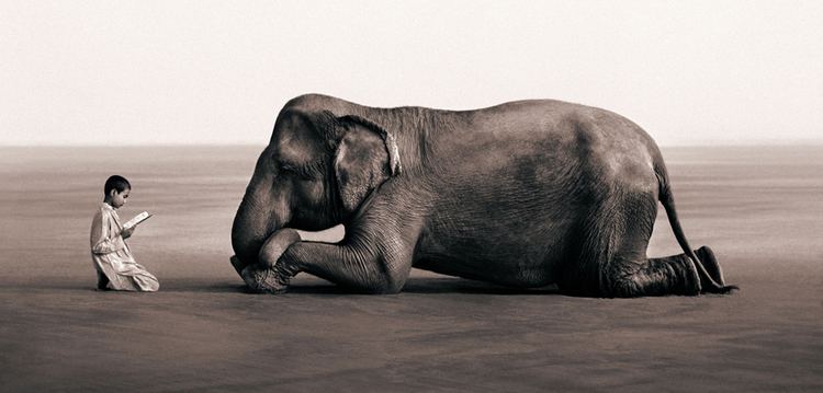 Gregory Colbert boyReadingjpg