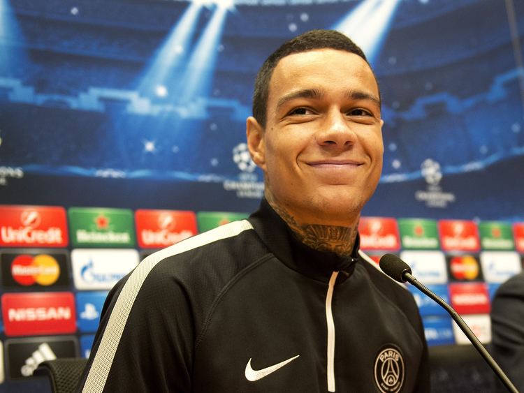 Gregory van der Wiel Netherlands defender Gregory van der Wiel makes Borat