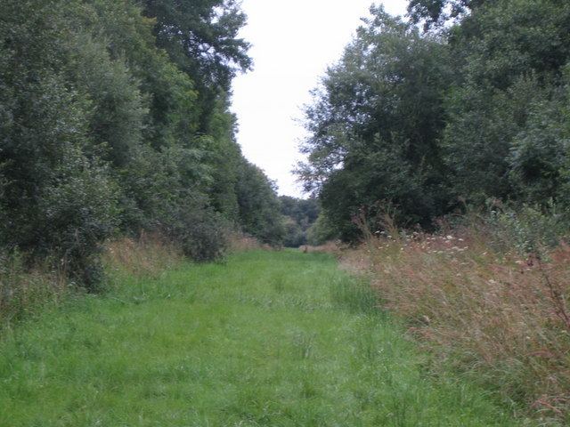 Grendon and Doddershall Woods