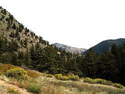 Greyrock Mountain National Recreation Trail httpsuploadwikimediaorgwikipediacommonsthu