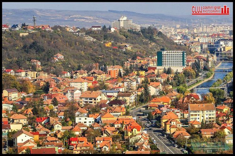 Grigorescu, Cluj-Napoca Cartierele clujene i povestea lor Evenimente din Cluj Napoca