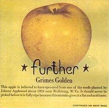 Grimes Golden (album) httpsuploadwikimediaorgwikipediaenthumb7