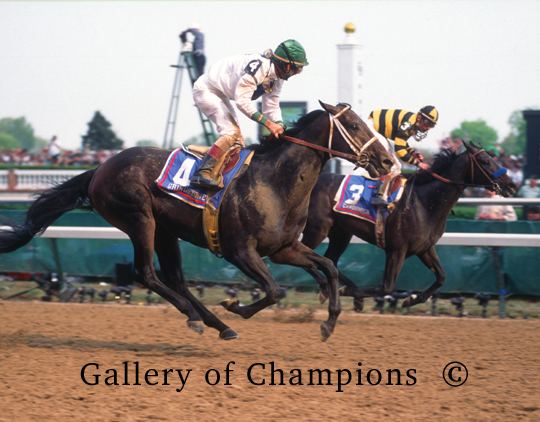 Grindstone (horse) 1996 Kentucky Derby Winner Grindstone Picture Shipped Free