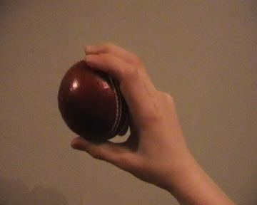Grip (cricket bowling)