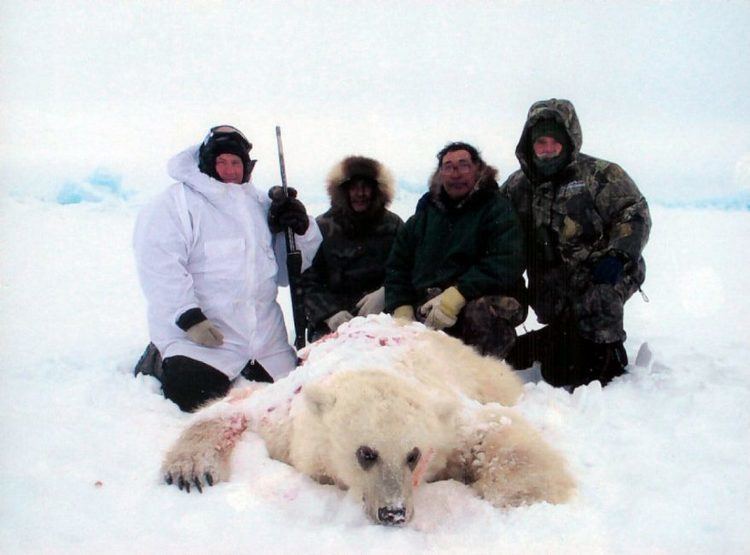Grizzly–polar bear hybrid Did Nunavut hunter shoot grizzlypolar bear hybrid Toronto Star