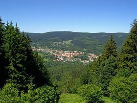 Großer Beerberg httpsuploadwikimediaorgwikipediacommonsthu