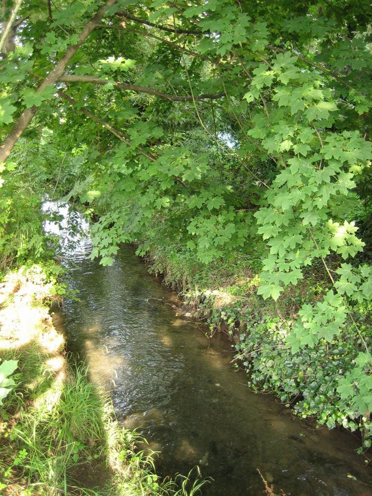 Grone (river) httpsuploadwikimediaorgwikipediacommons66