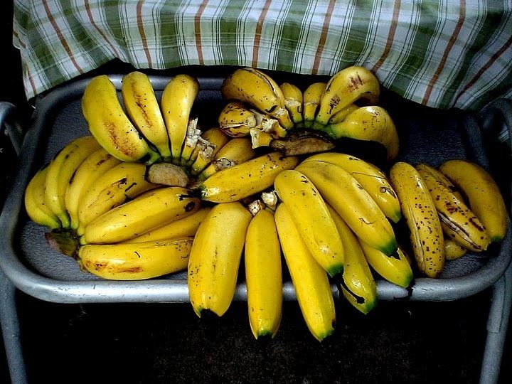 Gros Michel banana httpsferrebeekeeperfileswordpresscom201507