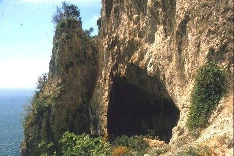 Grotta delle Felci Grotta delle Felci Centro Musei delle Scienze Naturali e Fisiche