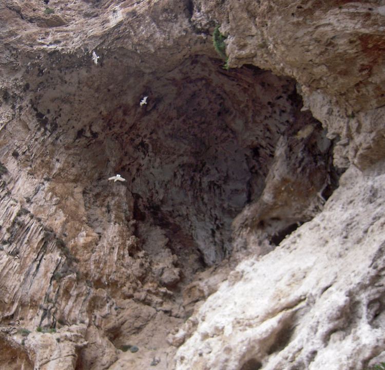 Grotta delle Felci Capri The Grotta dell39Arco and Grotta delle Felci Grotto of Ferns