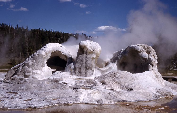 Grotto Geyser Yellowstone Digital Slide File