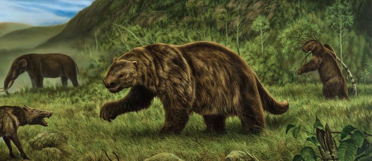 Ground sloth - Alchetron, The Free Social Encyclopedia