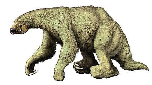 Ground sloth Bring back the Shasta ground sloth