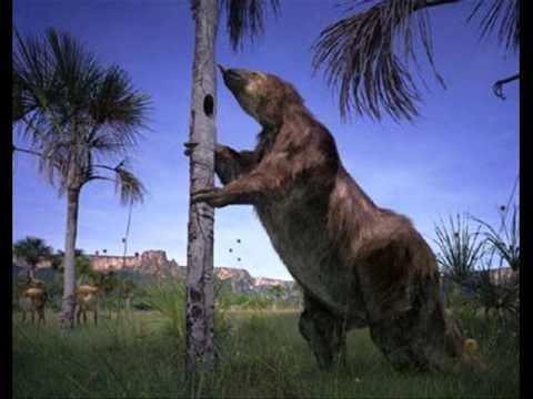 Ground sloth httpsiytimgcomviYcoVUcGLTCEhqdefaultjpg