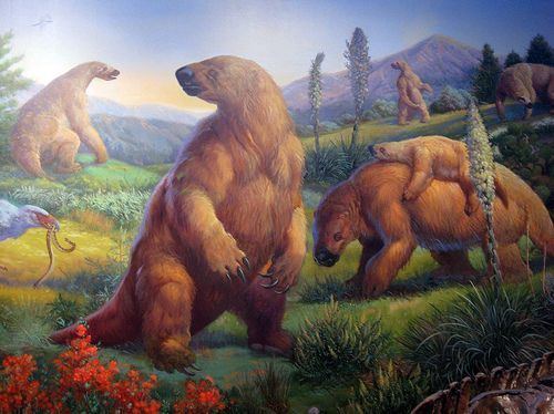 Ground sloth 1000 ideas about Ground Sloth on Pinterest Short faced bear