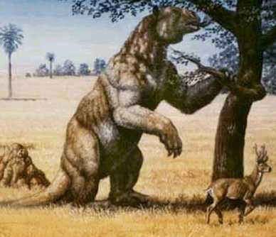 Ground sloth 1000 ideas about Ground Sloth on Pinterest Short faced bear