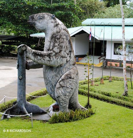 Ground sloth Extinct Giant Ground Sloths Sloth Sanctuary of Costa Rica