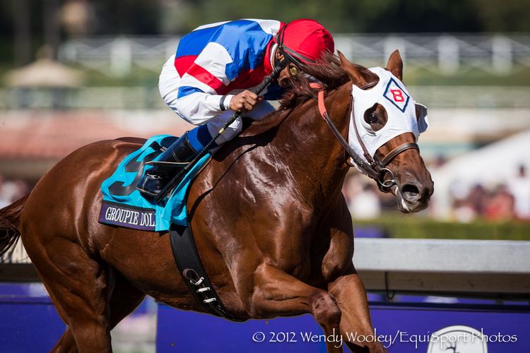 Groupie Doll Gardenia Stakes Renamed In Honor Of Champion Groupie Doll Horse