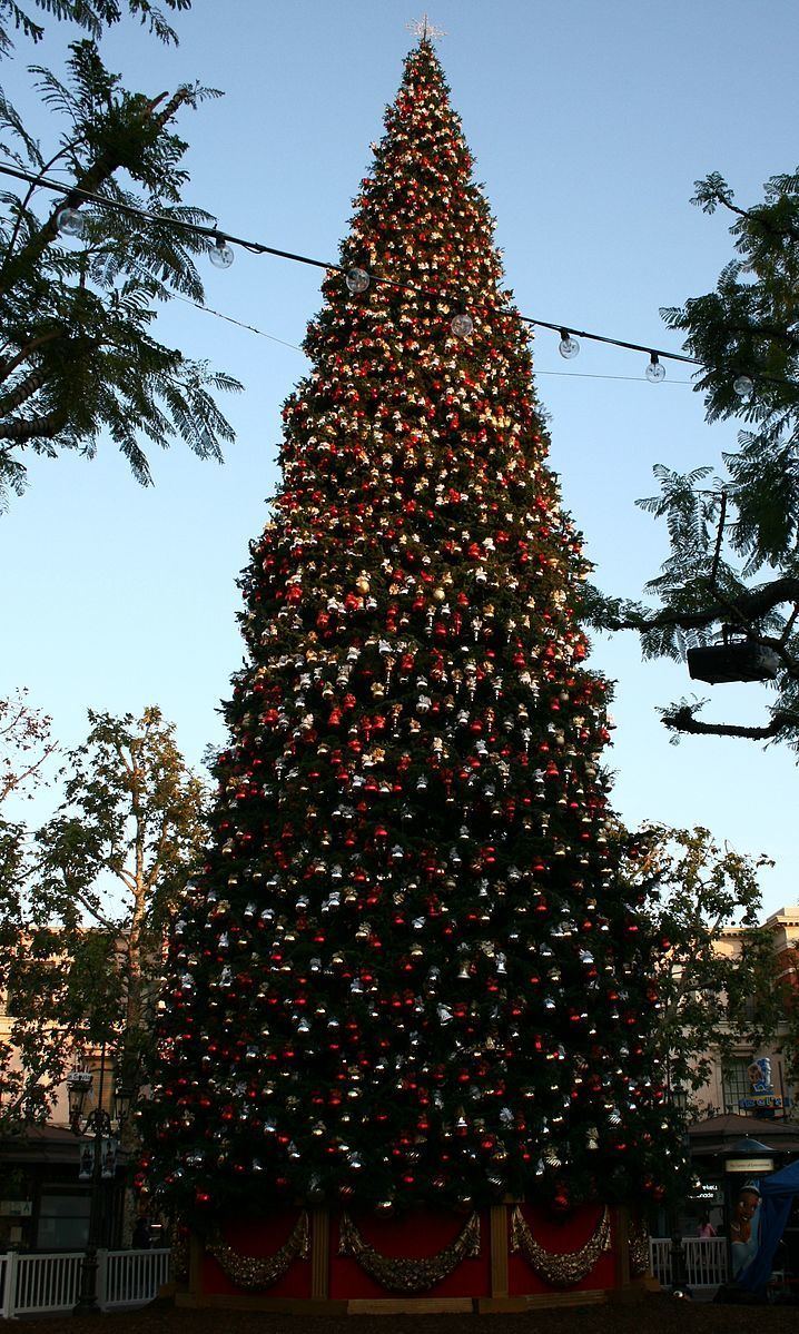 Grove Christmas Tree