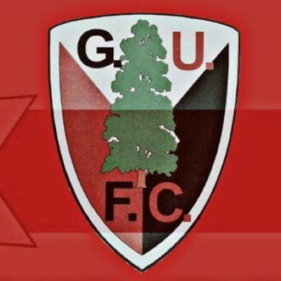 Grove United F.C. httpspbstwimgcomprofileimages6927507418748
