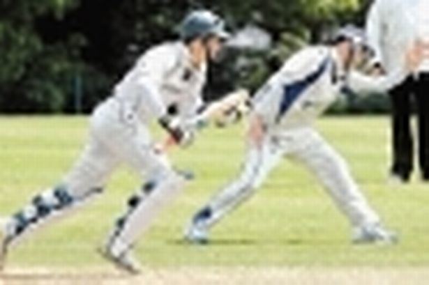Grove Venter South African Grove Venter making big impact with St Asaph Cricket