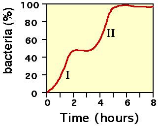 Growth curve (biology)