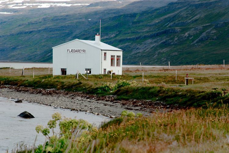 Grunnavík Grunnavk Flareyri gemlingur