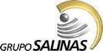 Grupo Salinas httpsuploadwikimediaorgwikipediaen227Gru