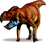 Gryphoceratops GRYPHOCERATOPS DinoChecker dinosaur archive