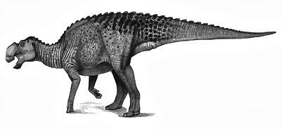 Gryposaurus The Dino Directory Gryposaurus Natural History Museum