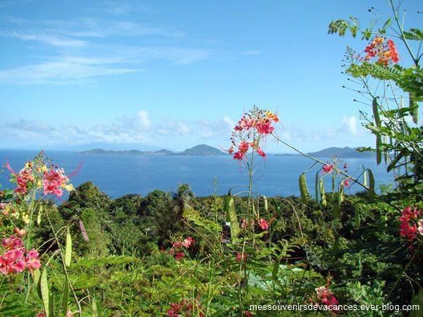 Guadeloupe Beautiful Landscapes of Guadeloupe