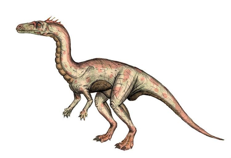 Guaibasaurus guaibasaurus DeviantArt