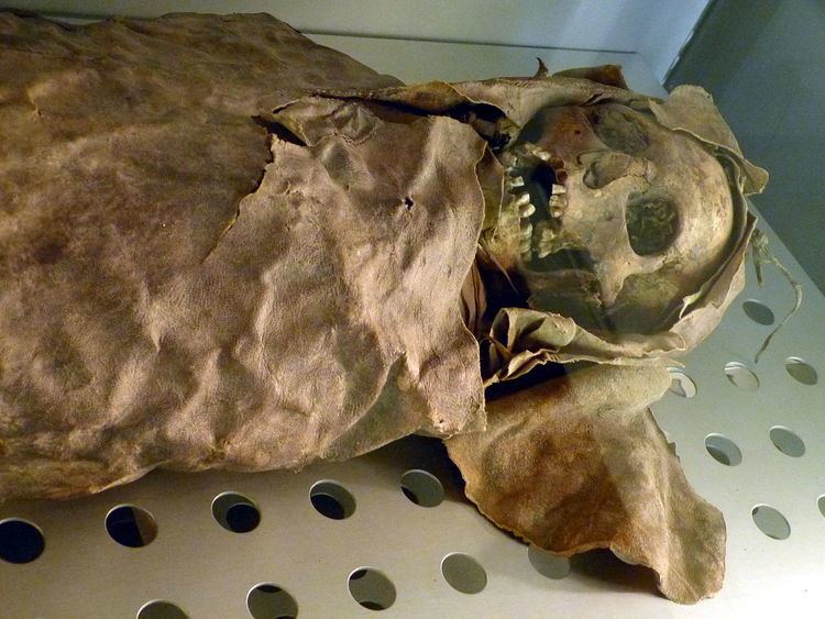 Guanche mummies of Necochea