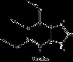 Guanine httpsuploadwikimediaorgwikipediacommonsthu