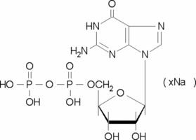 Guanosine diphosphate Guanosine 5diphosphate sodium salt Type I 96 HPLC Sigma