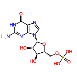 Guanosine monophosphate Guanosine monophosphate C10H14N5O8P ChemSpider