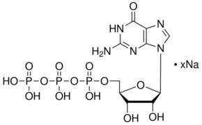 Guanosine triphosphate Guanosine 5triphosphate sodium salt hydrate 95 HPLC powder