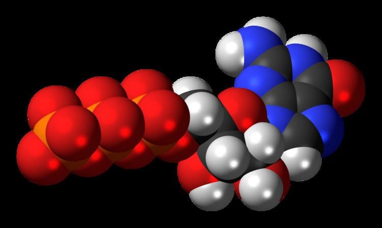 Guanosine triphosphate Guanosine triphosphate Wikipedia