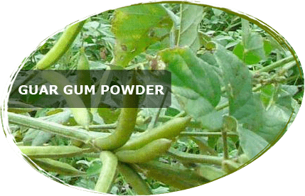 Guar gum Guar Gum Guar Gum Powder Benefits of Guar Gum Properties of Guar