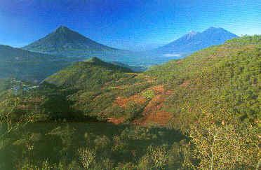 Guatemalan Highlands Focus On Nature Tour in Guatemala December January