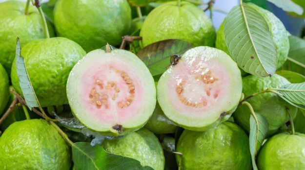 Guava 15 Amazing Guava Benefits Heart Healthy Weight Loss Friendly and