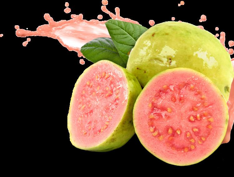 Guava 12 Discovered Amazing Health Benefits of Guava VetBest Health