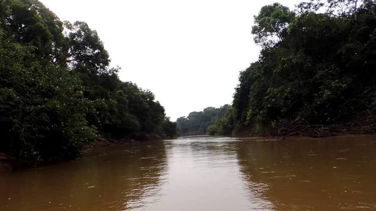 Guaviare River httpsiytimgcomvixV7c6Ghx3homaxresdefaultjpg