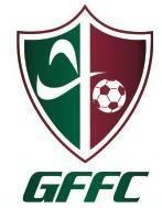 Guaynabo Fluminense FC httpsuploadwikimediaorgwikipediaen997Gua